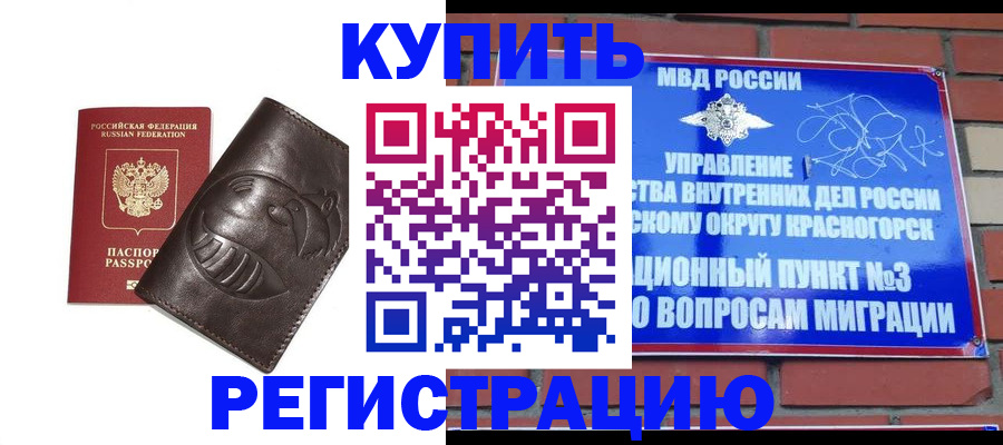 прописка в квартире в Звенигово